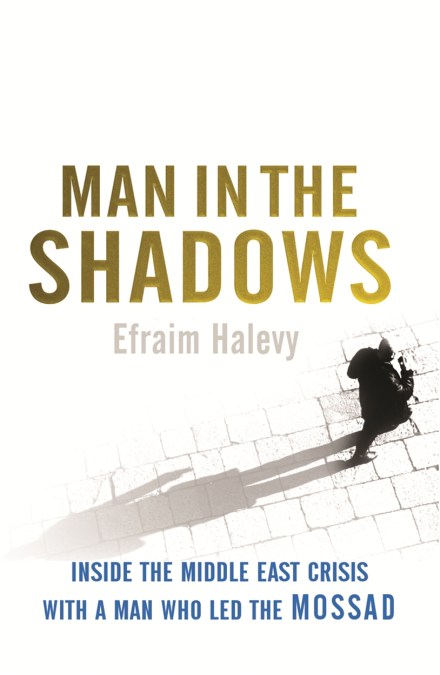 Man in the Shadows