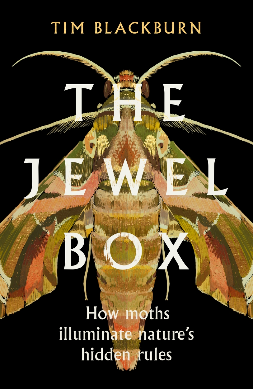 The Jewel Box by Tim Blackburn | W&N - Ground-breaking, award